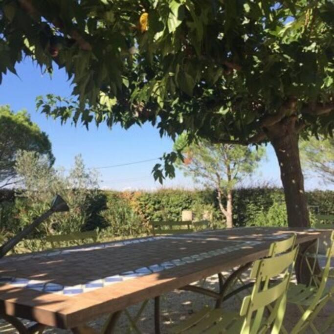 La Maison Des Vendangeurs 카네트 외부 사진