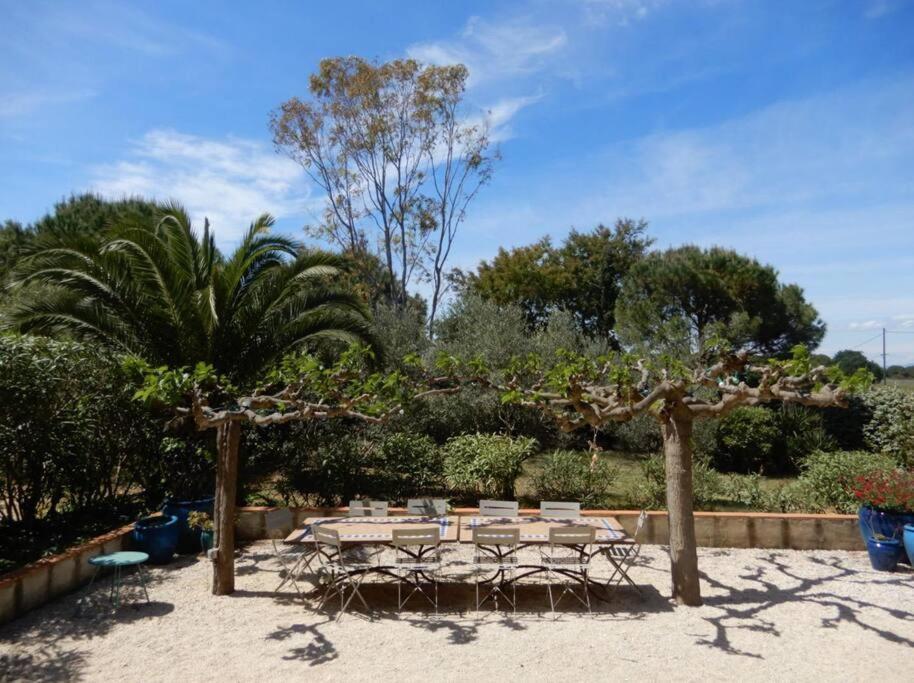 La Maison Des Vendangeurs 카네트 외부 사진